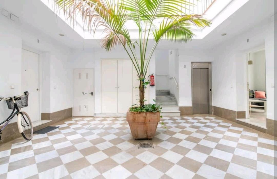 Casa De La Alameda Apartment Севиля Екстериор снимка